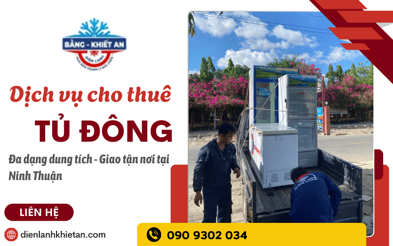 cho thuê tủ đông Ninh Thuận